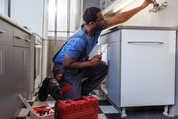 Best Plumbing Services Near Me  in Holley, FL
