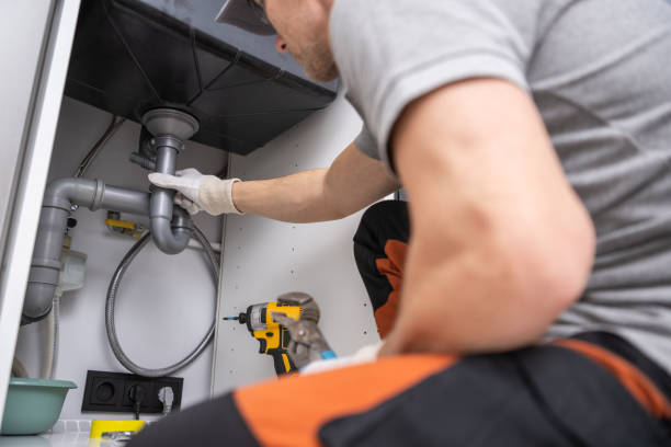 Best Plumbing Inspection Services  in Holley, FL