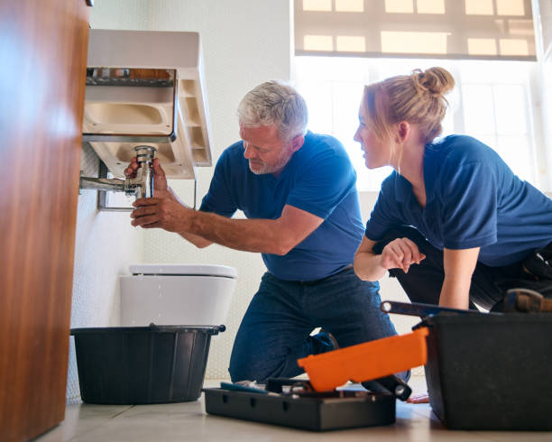 Best Plumbing Repair Near Me  in Holley, FL
